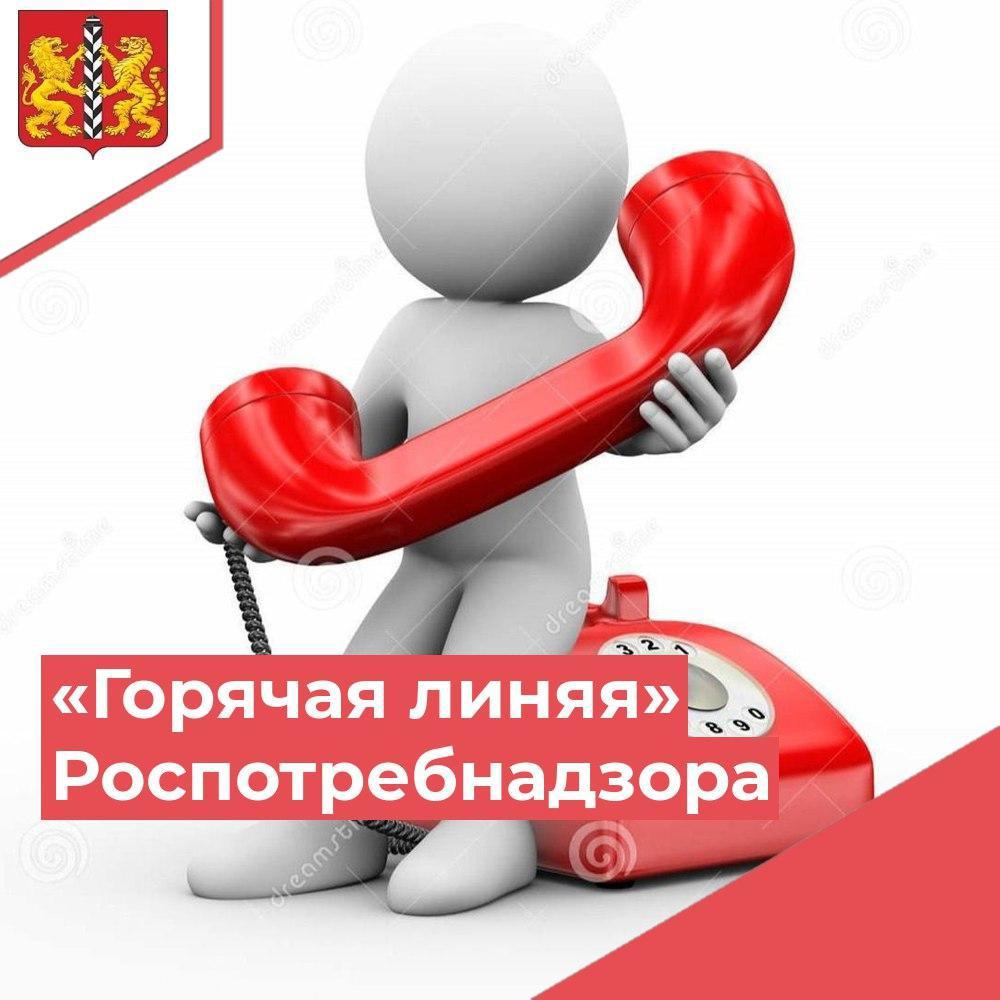 Горячая линия по  вопросам качества и безопасности детских товаров, а также выбору новогодних подарков.